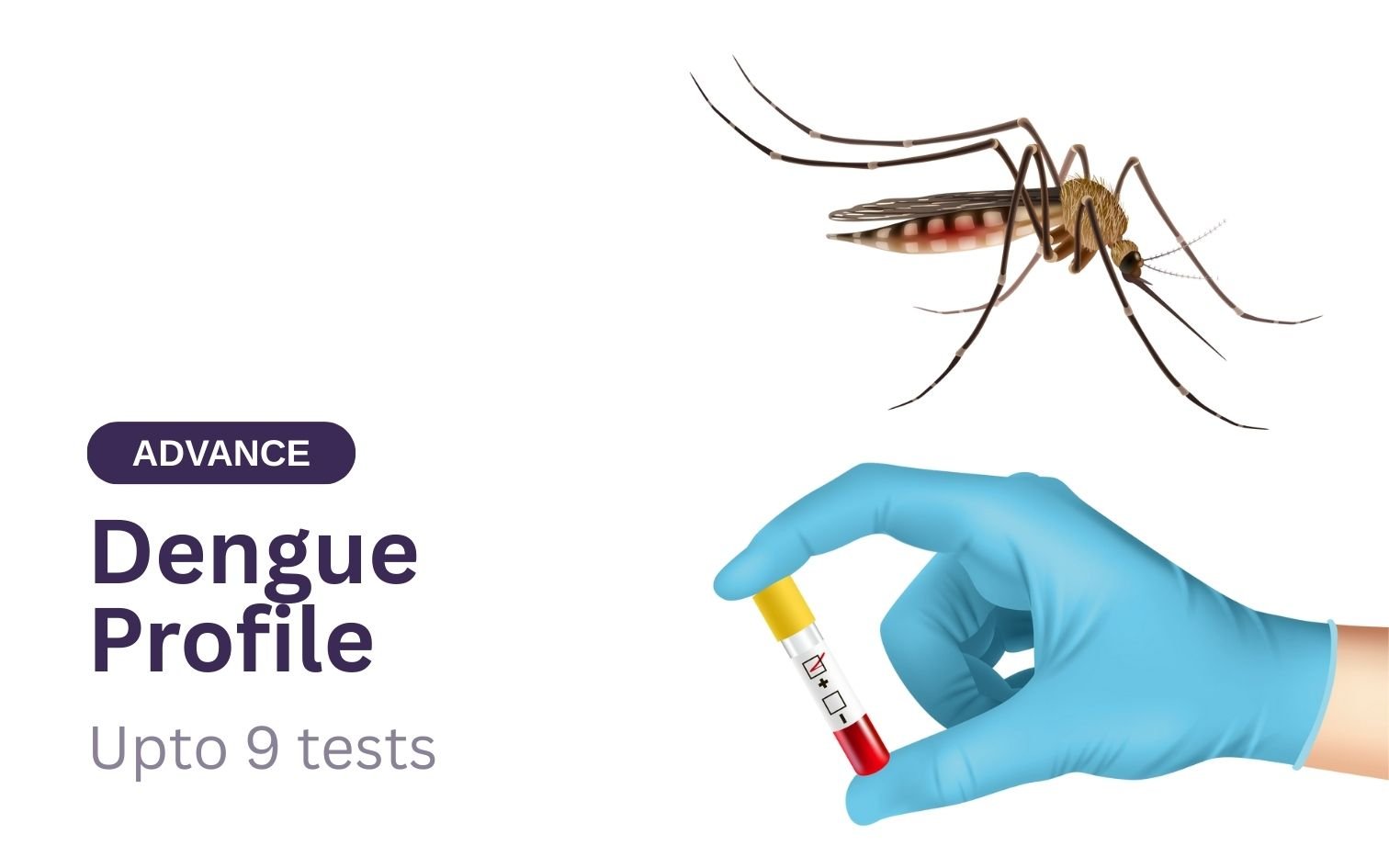 Dengue Profile