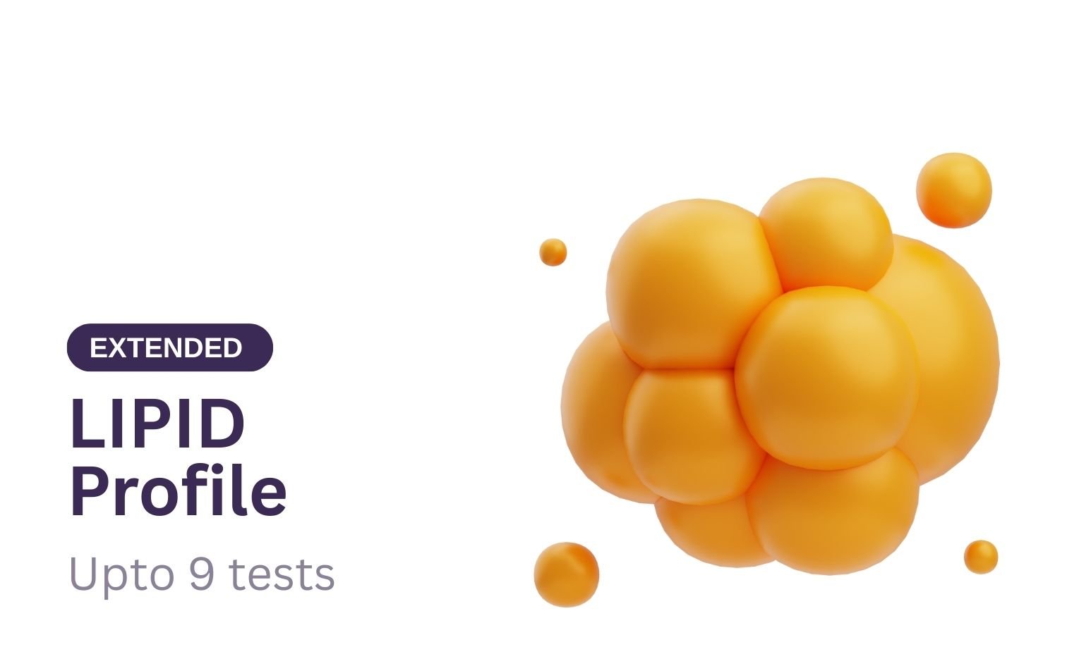 LIPID Profile